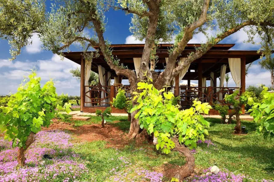 Chateau roslane boutique