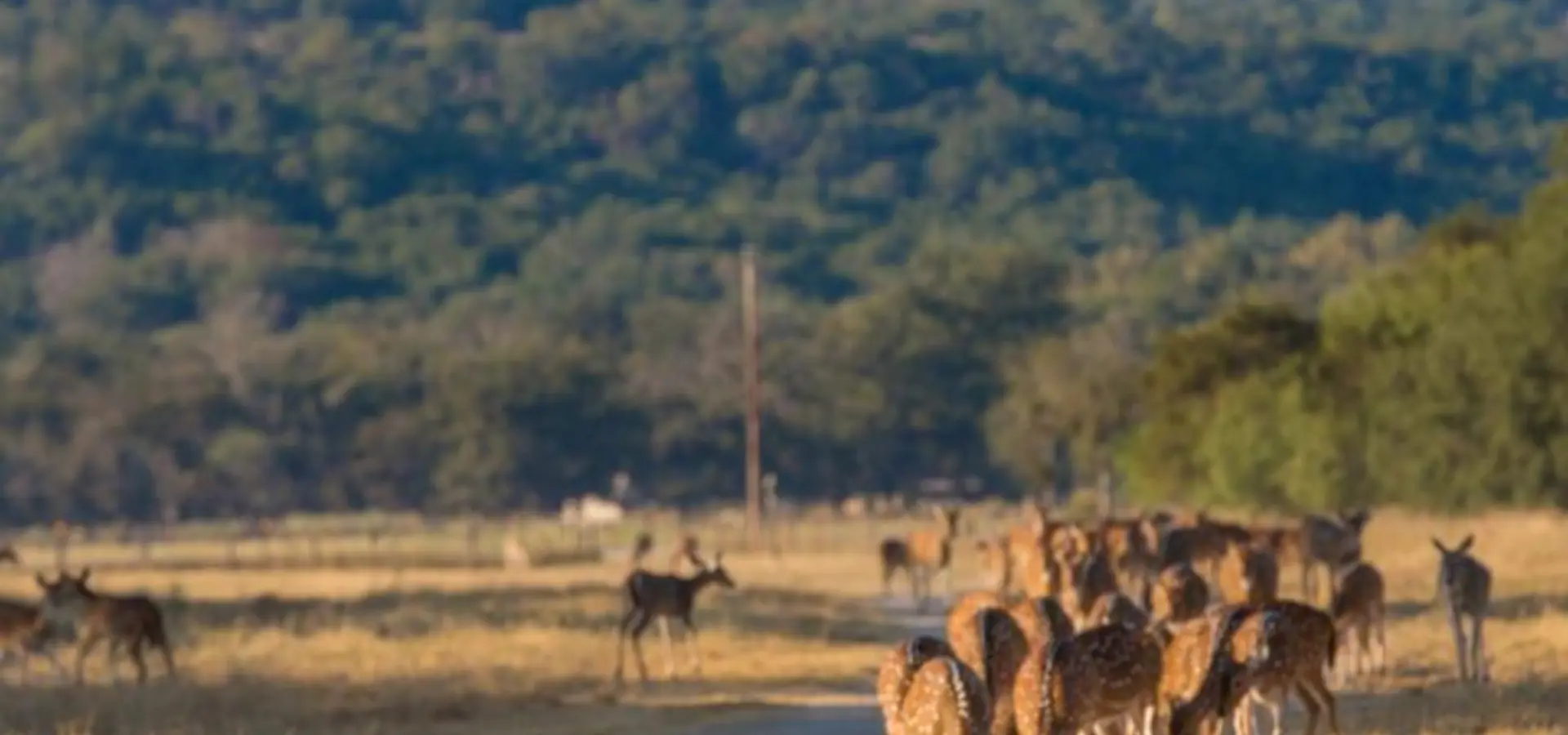 09262015 95943 web 720x1080