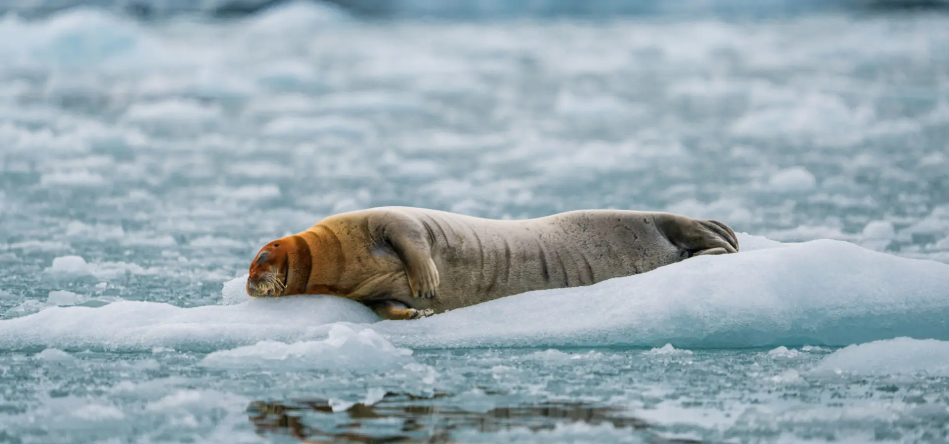 1765373446202no 2046ly280625monacobreentexasbar studioponantyanislasbats