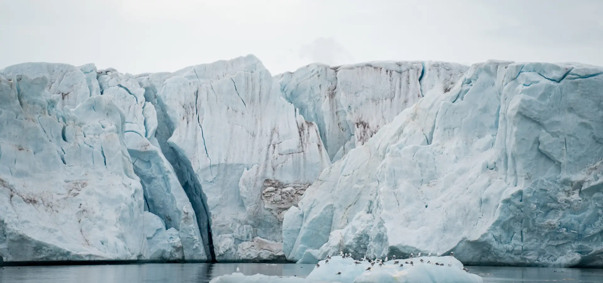 1765373446203no 2067ly280625monacobreentexasbar studioponantyanislasbats