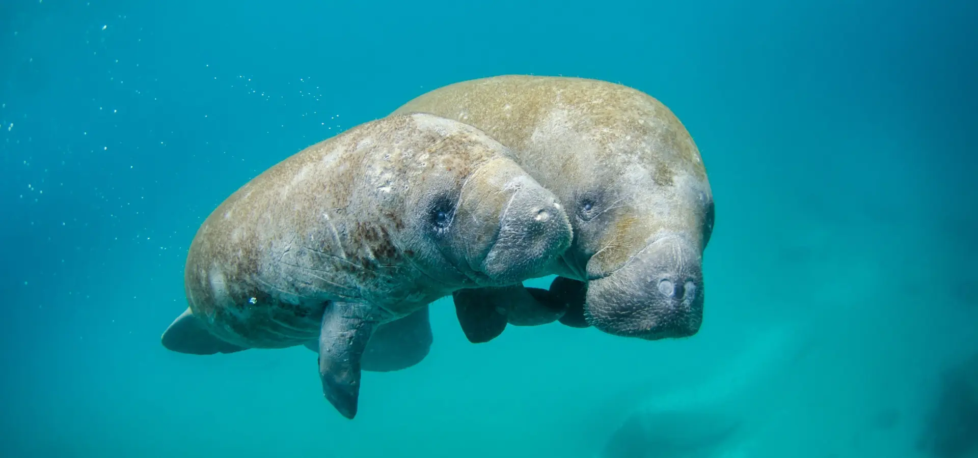 1761131760617noaa 8exzxzrj3tw unsplash