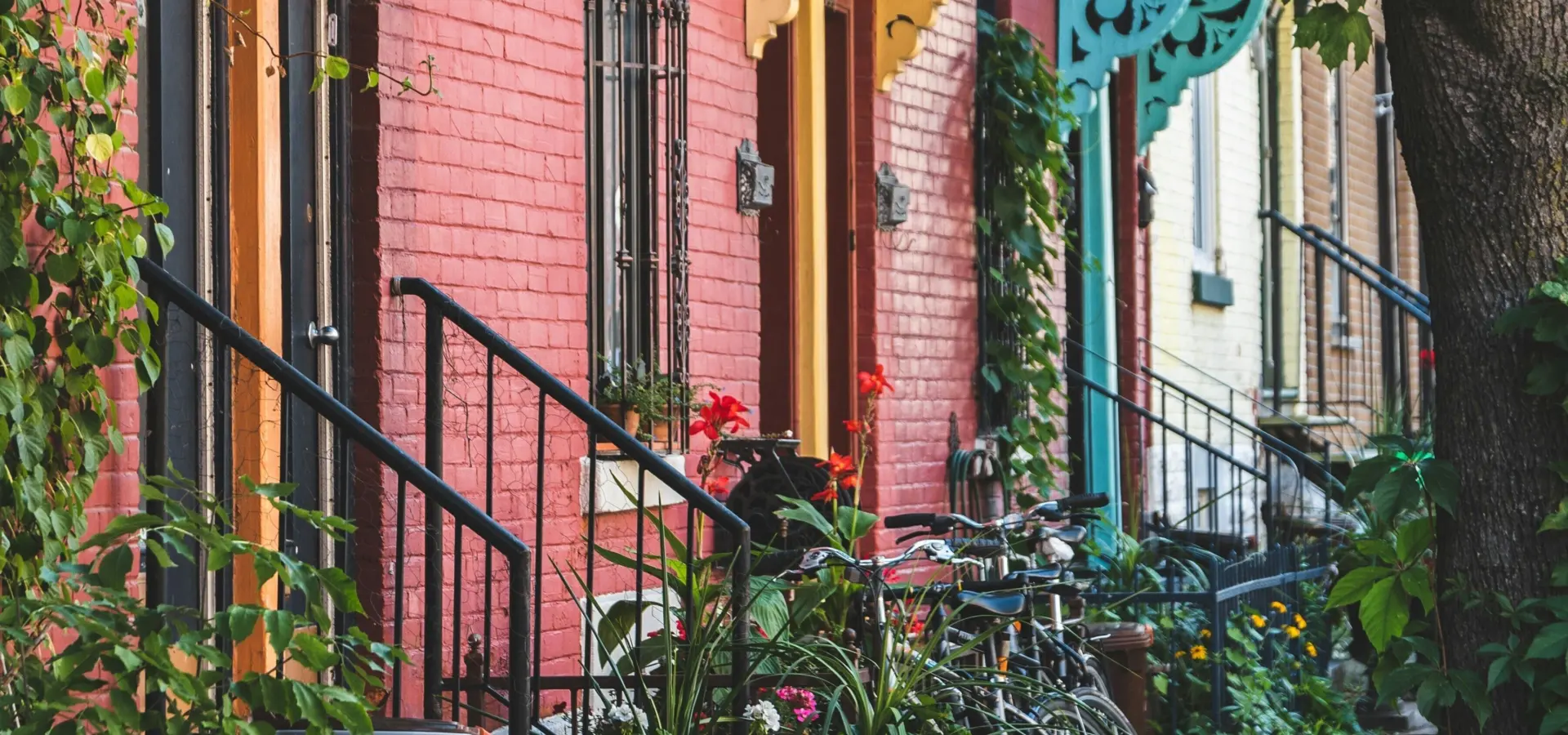 1741794738931 etienne delorieux Kb5 g0 LT Zxg unsplash