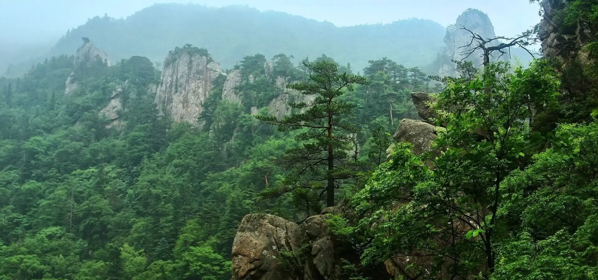 1765364489445seorak 49150091280