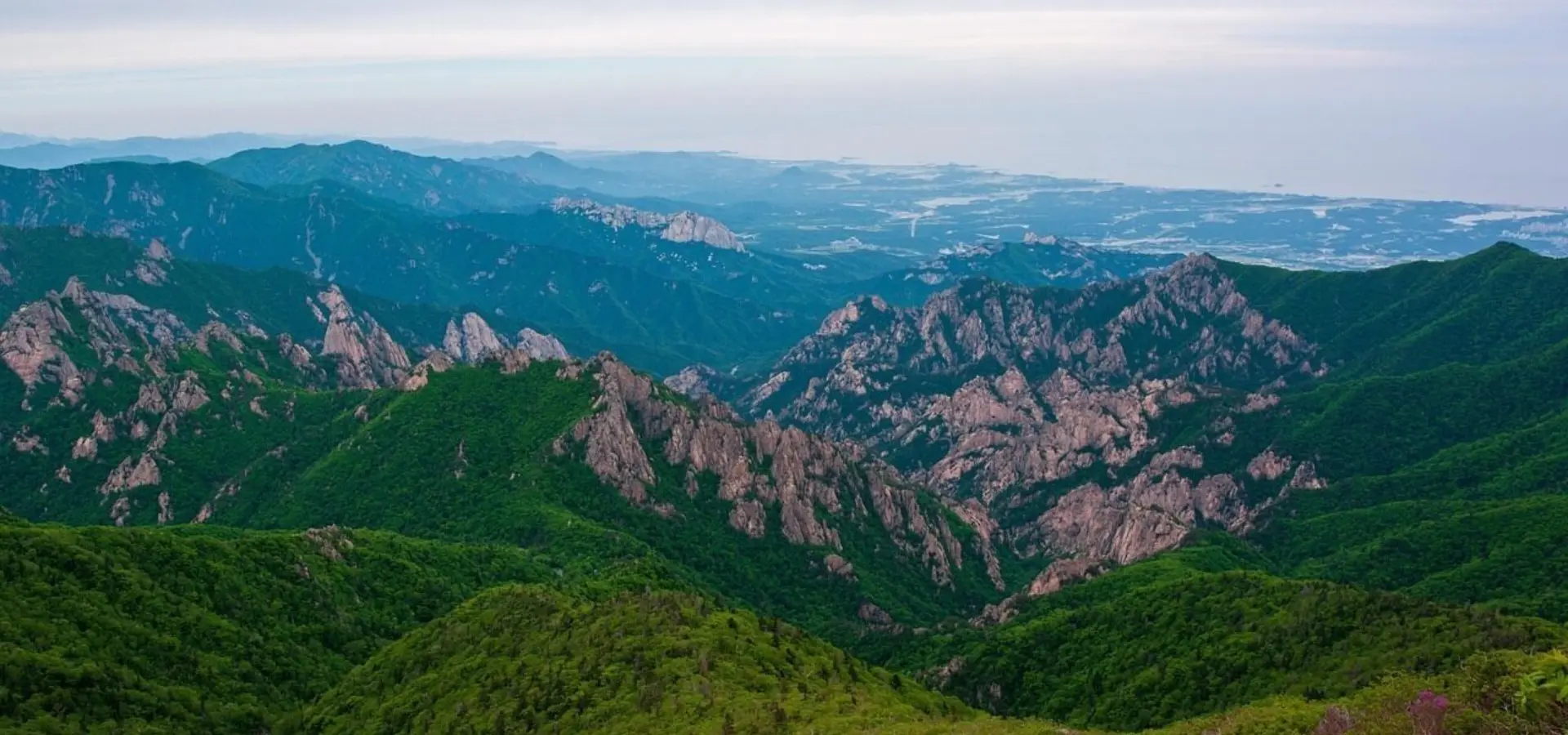 1765364489445dinosaur ridge mt 60401101280