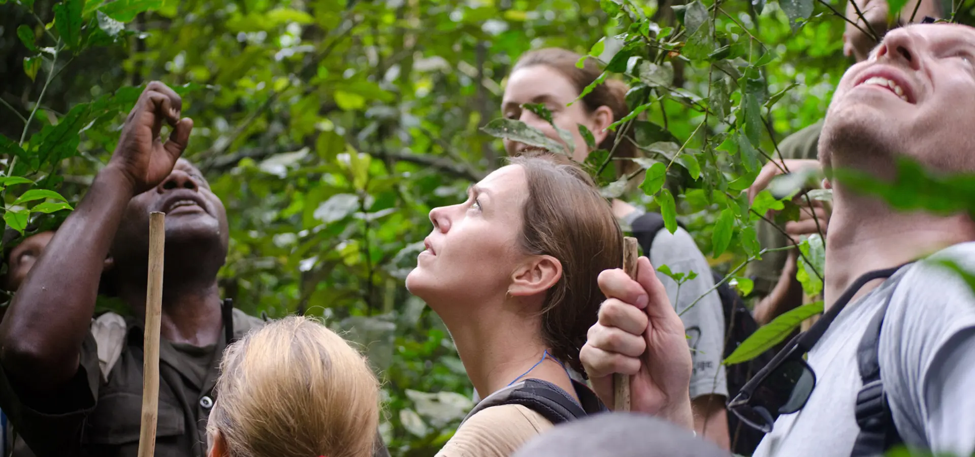 Bougainvilliers2 copy