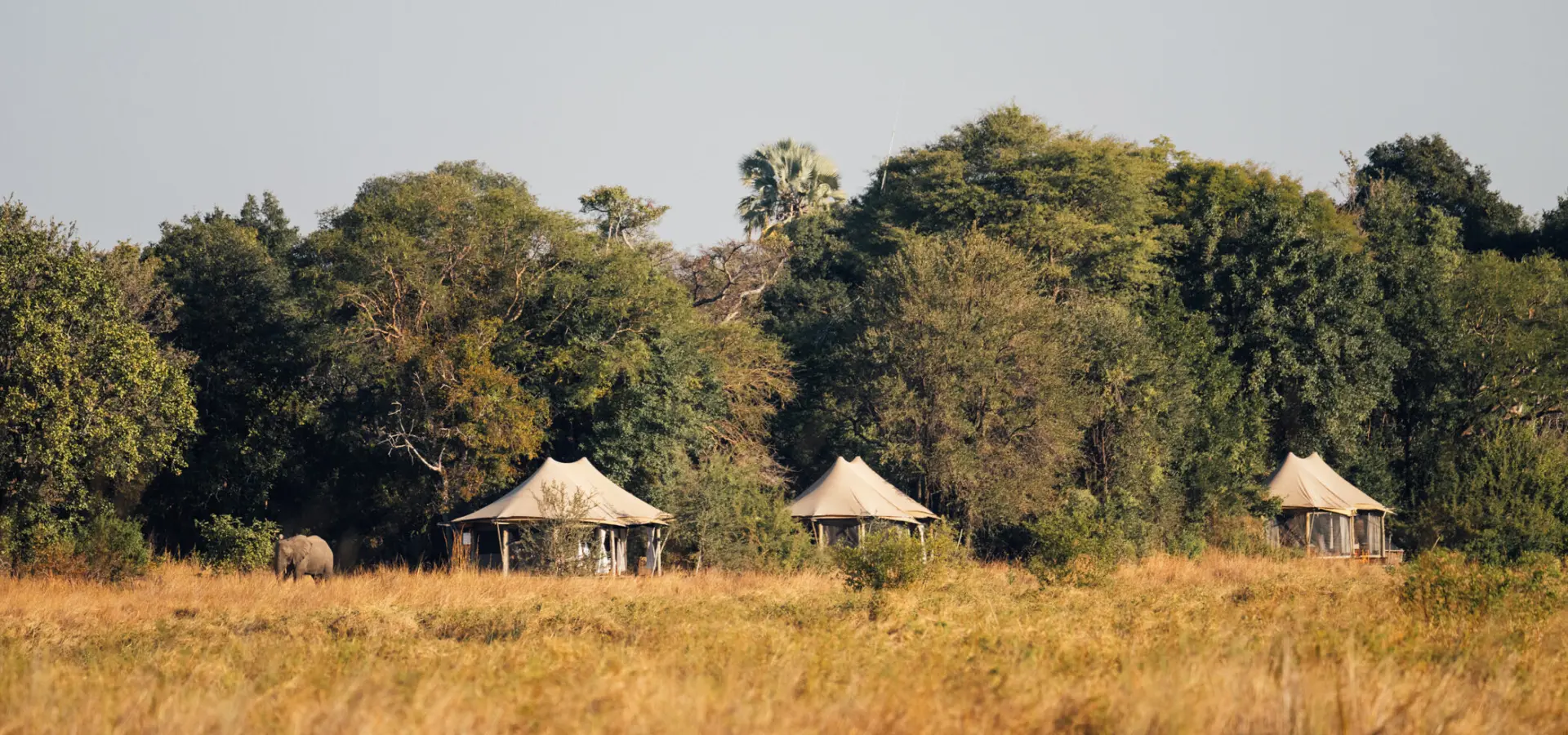 2023 07 musekese kafue classic zambia by marion payr 250