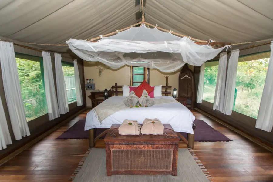 Tent interior 11 juliet lemon