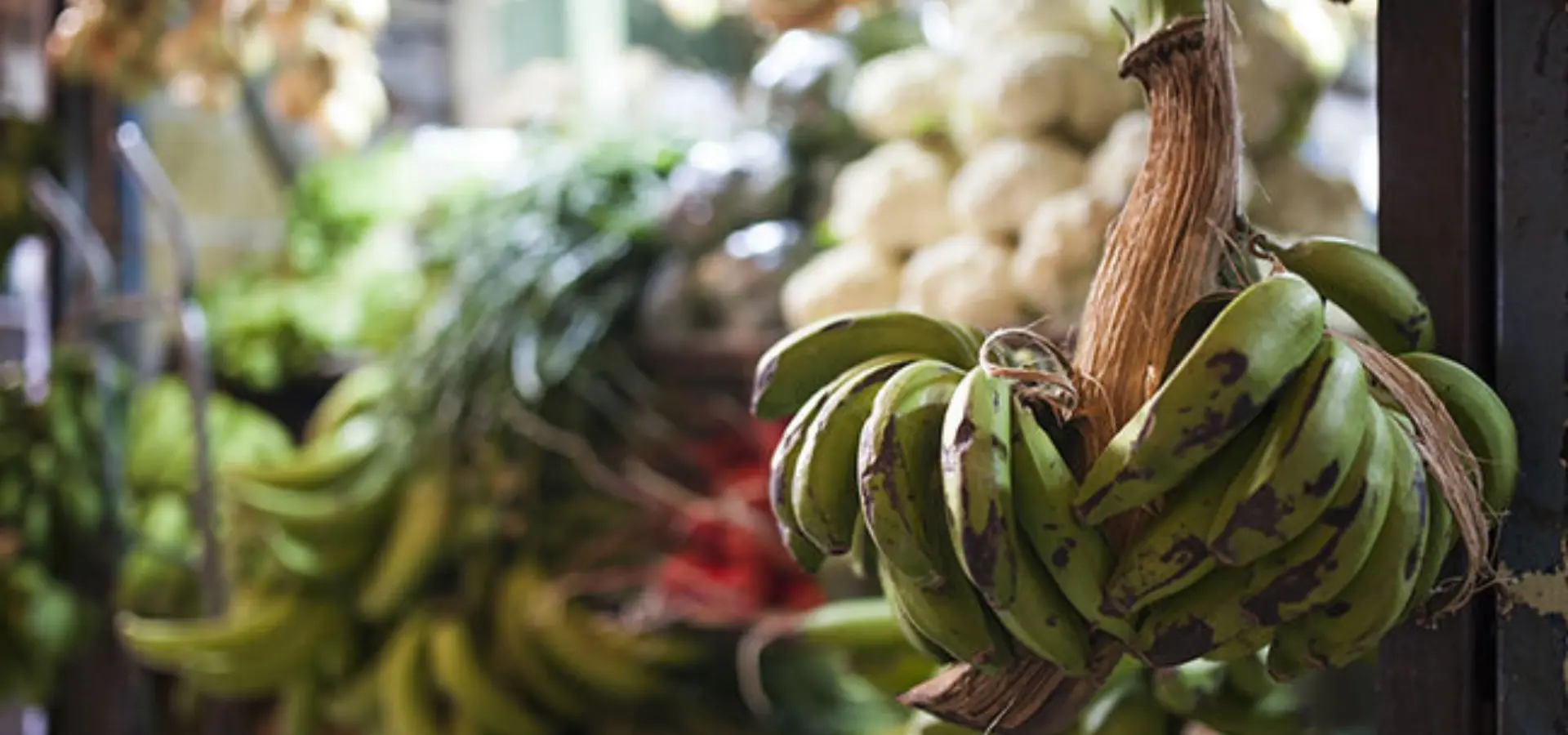 1758546502456mercado