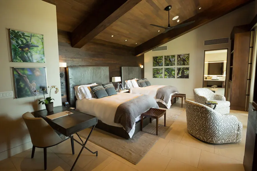 Suite1