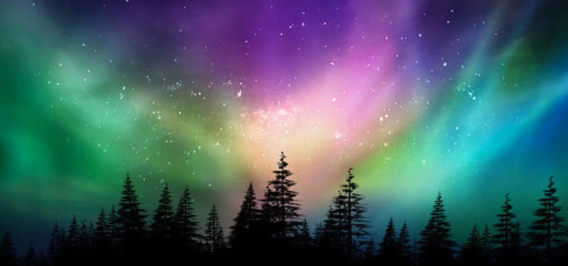 Istockphoto 644053990 170667a