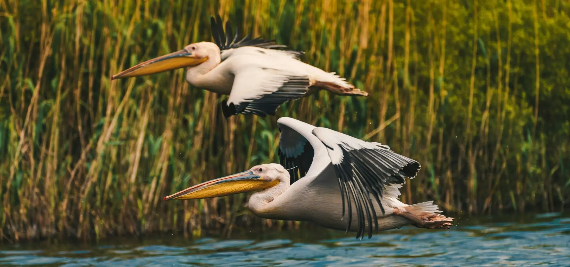 1765548805938calin stan kmn1td23z0y unsplash