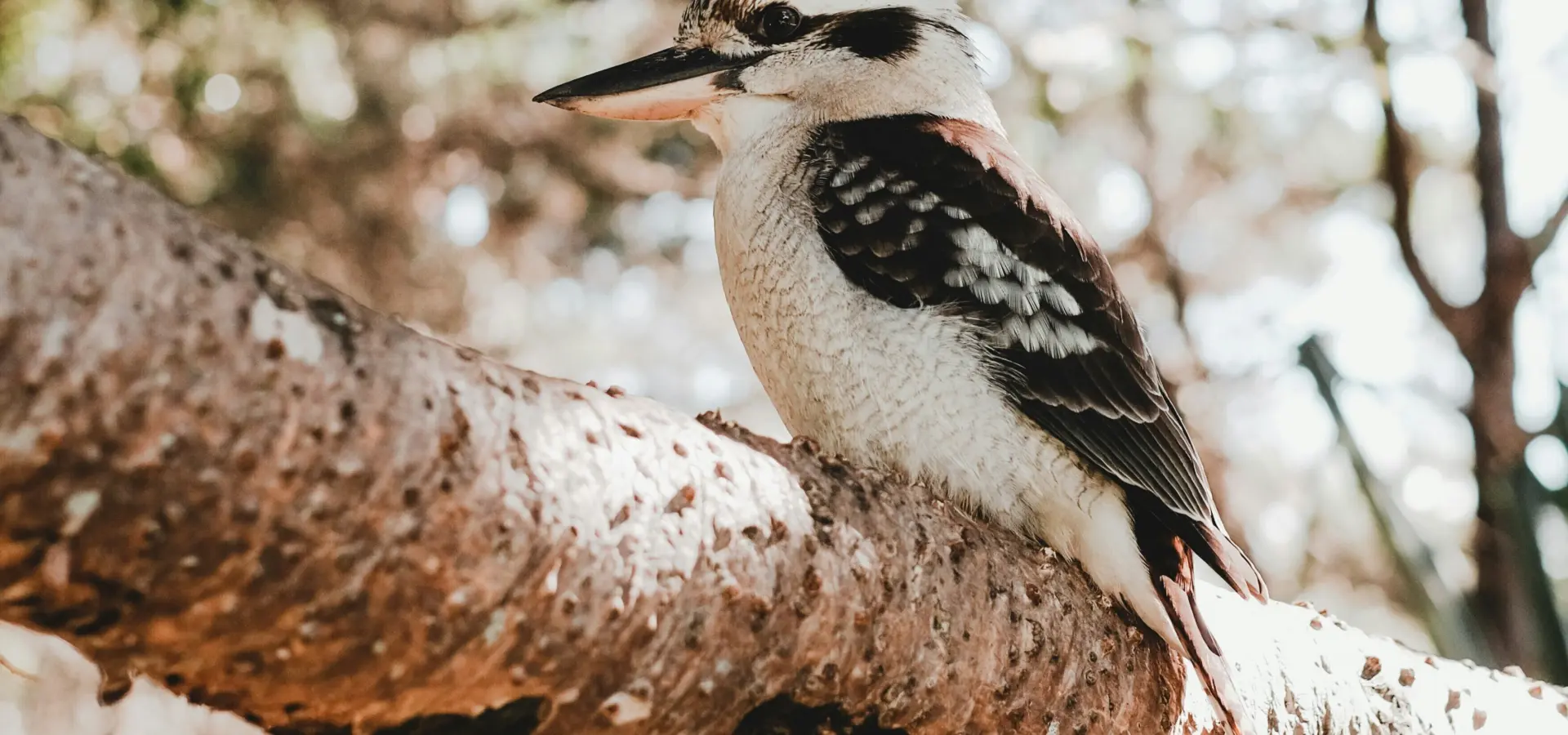 1765548805938valeriia miller vuovcxldwf4 unsplash