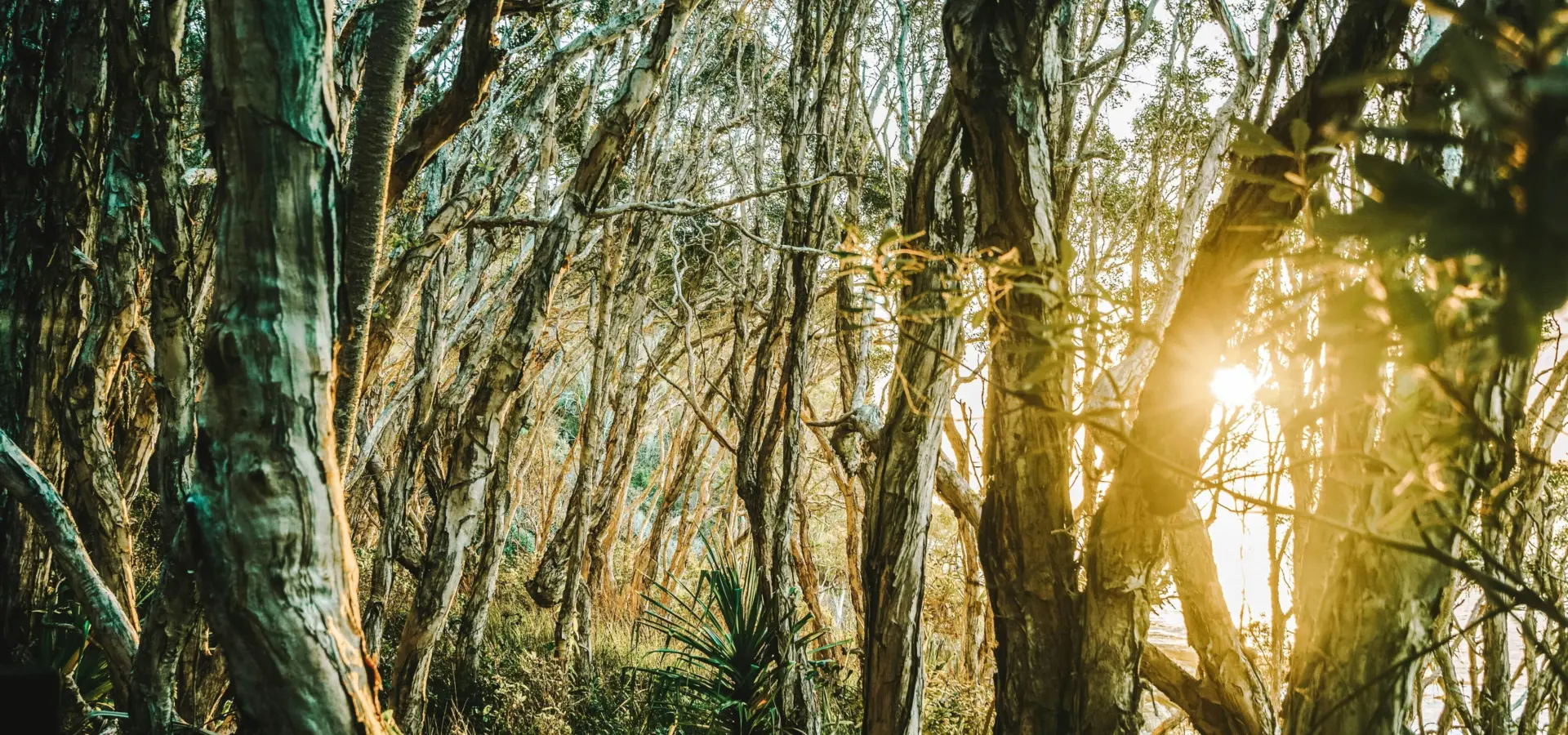 1765548805939guillaume marques oga6stsytw0 unsplash