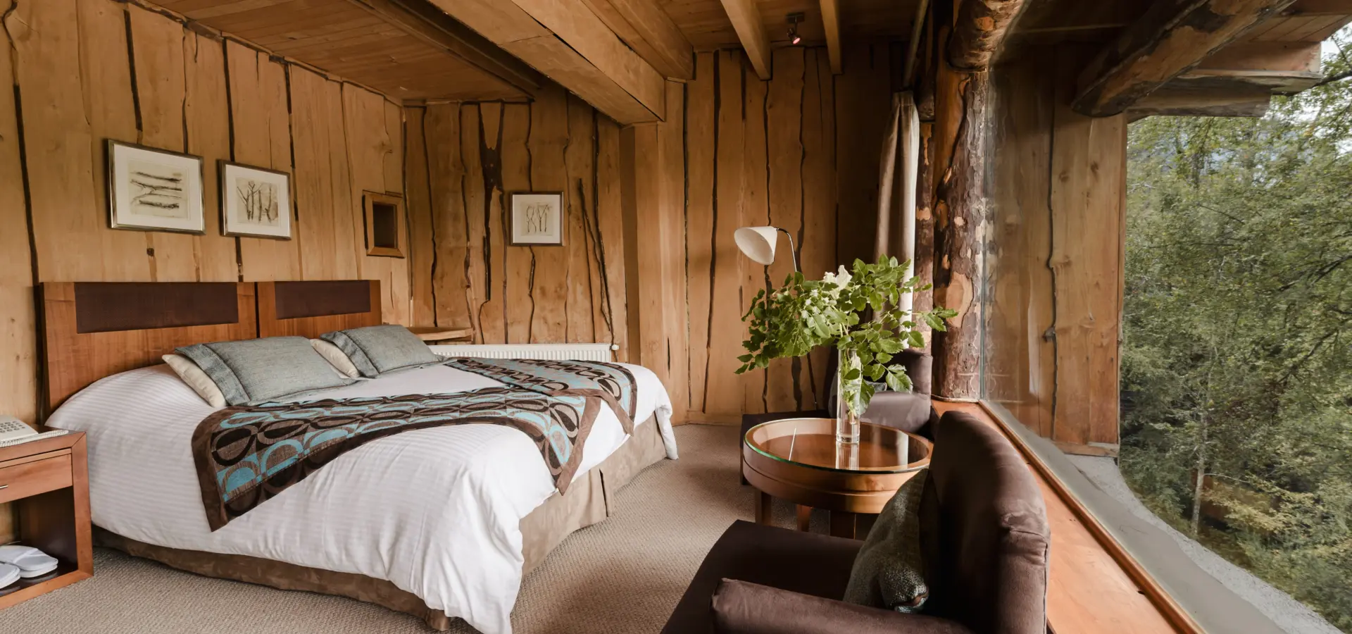 Accomodation nothofagus standard room int 004