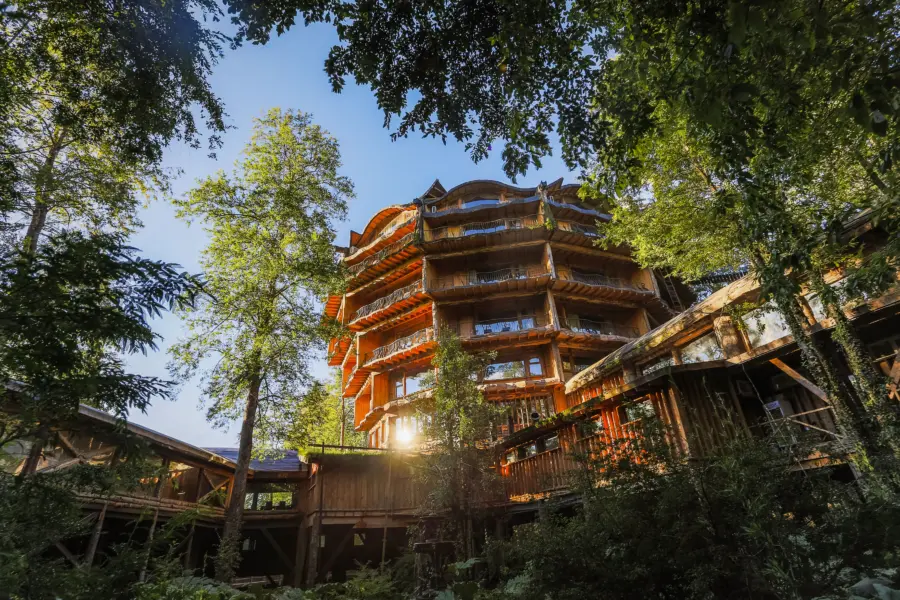 Accomodation nothofagus ext 046