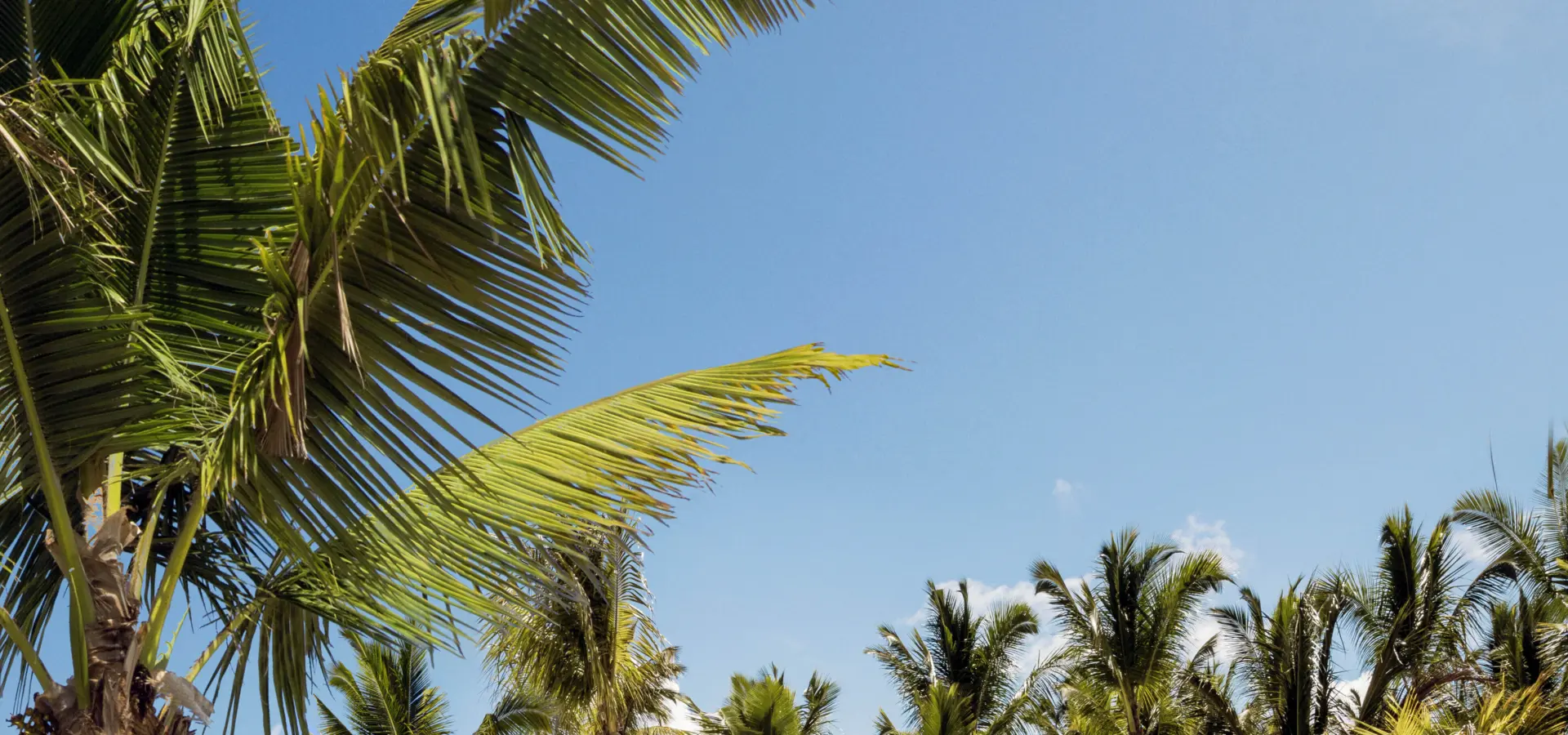 Oo lesaintgeran resort la pointe pool