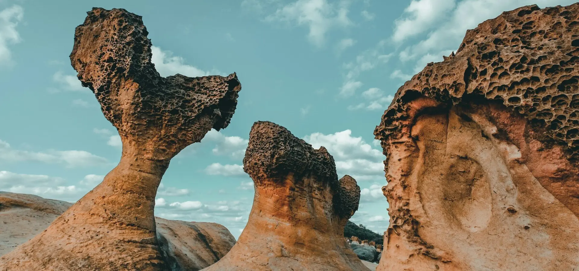 1778573434752 maryjoy caballero zs6fs2cv7j0 unsplash