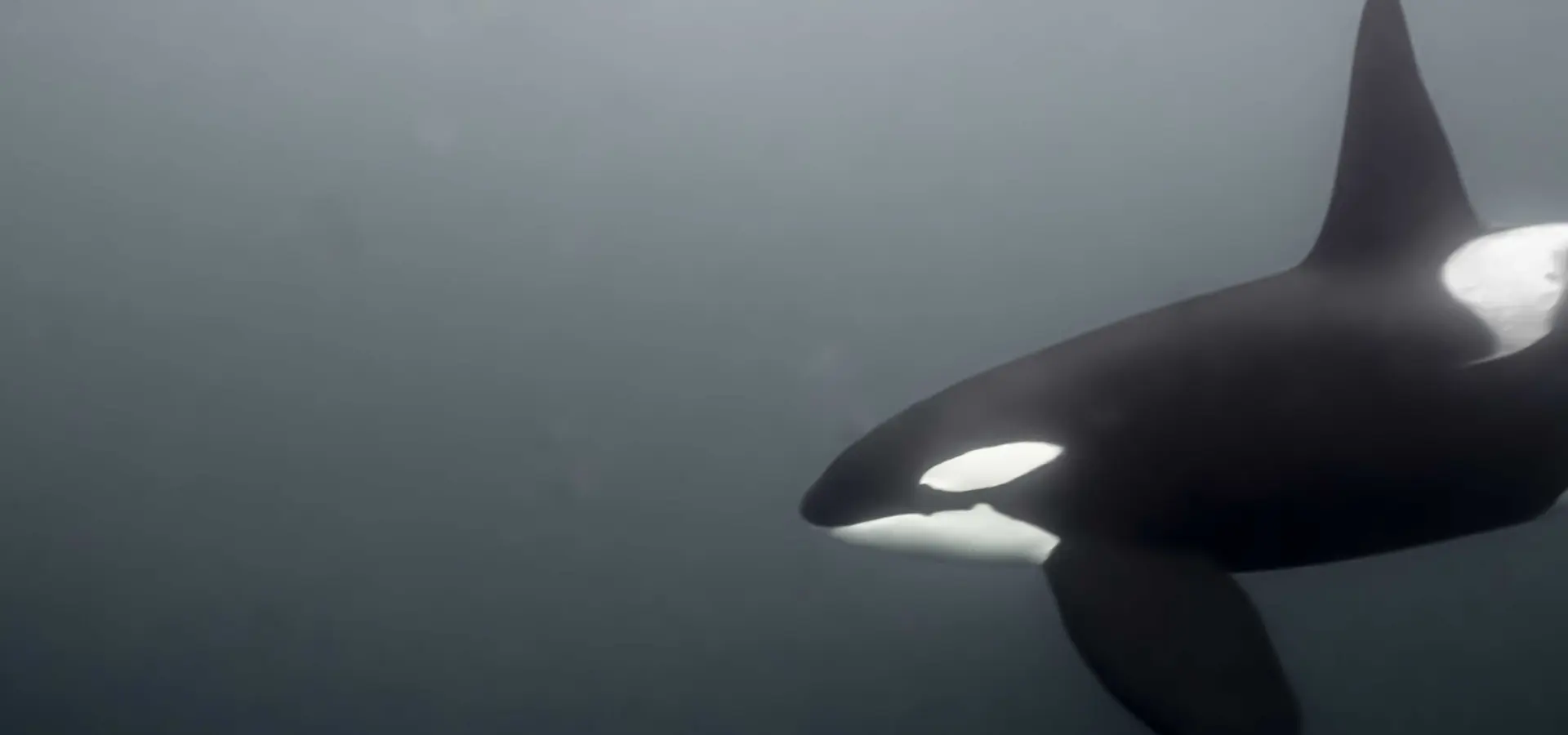 1760022879918jwb00092