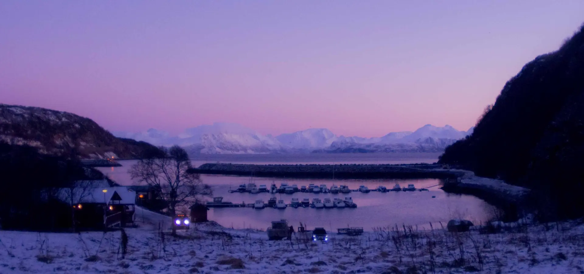 17600228799190016150