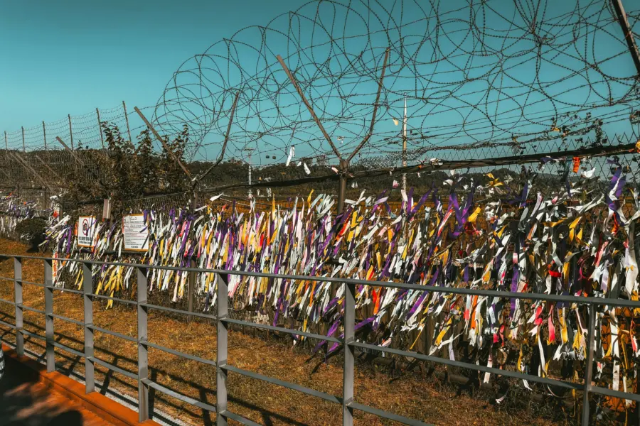 1765356805494christopher pap de pesteny fudcwysxro unsplash