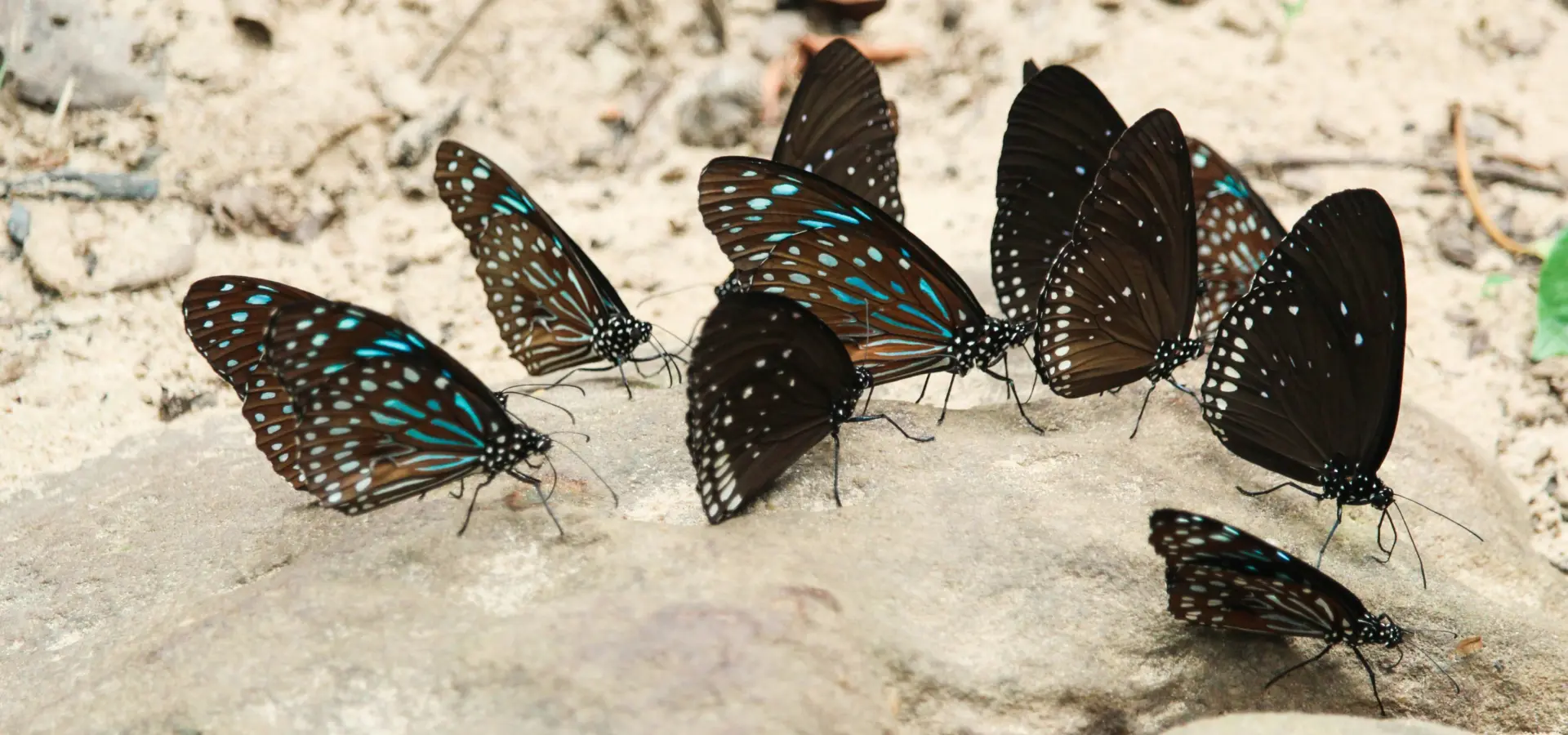 1757430156353phen phy wzrohgjntow unsplash