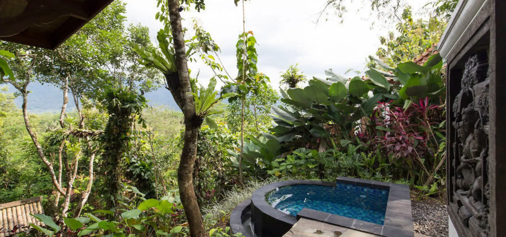 Plbgarden plunge pool villa view l18cz