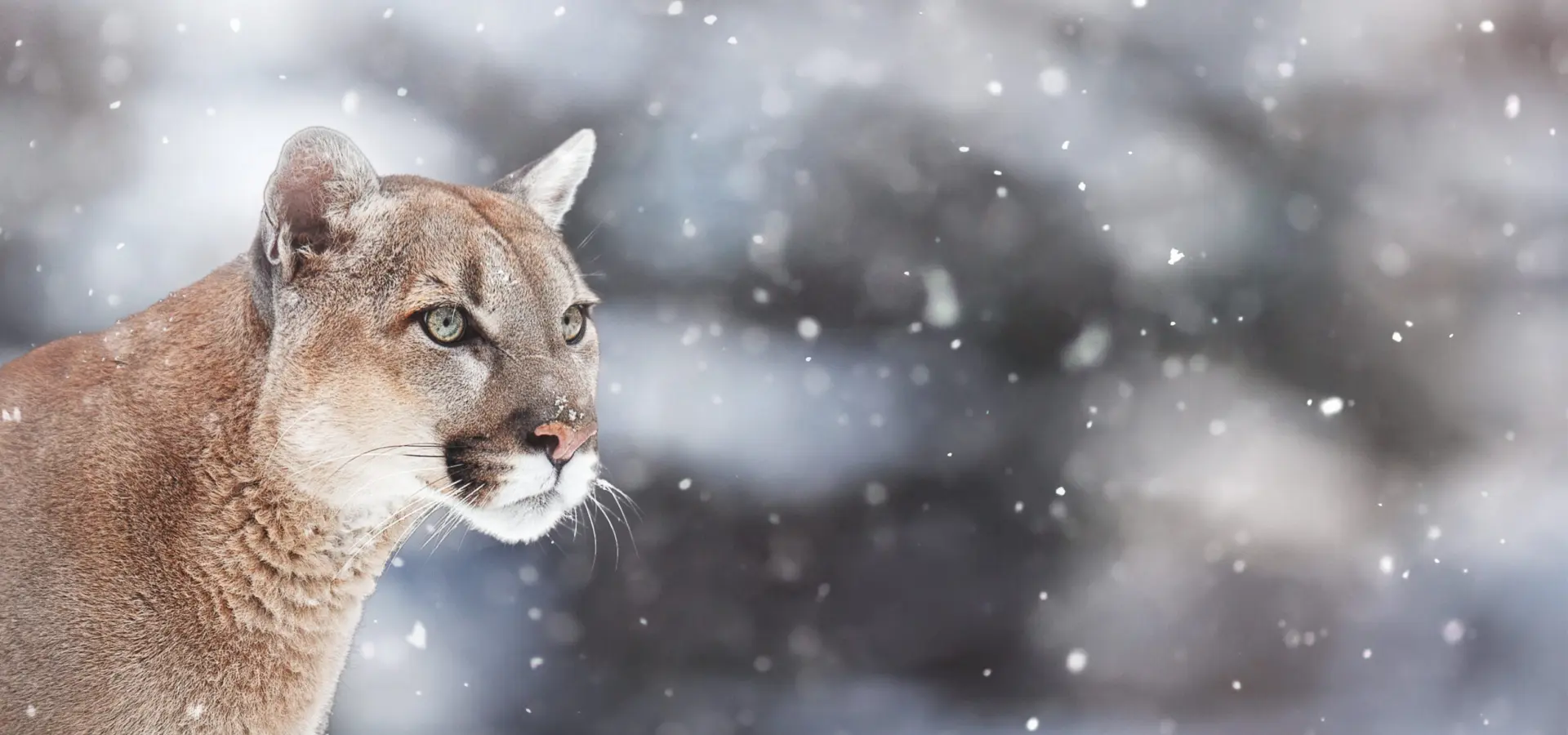 1743004534399 i Stock 644582804