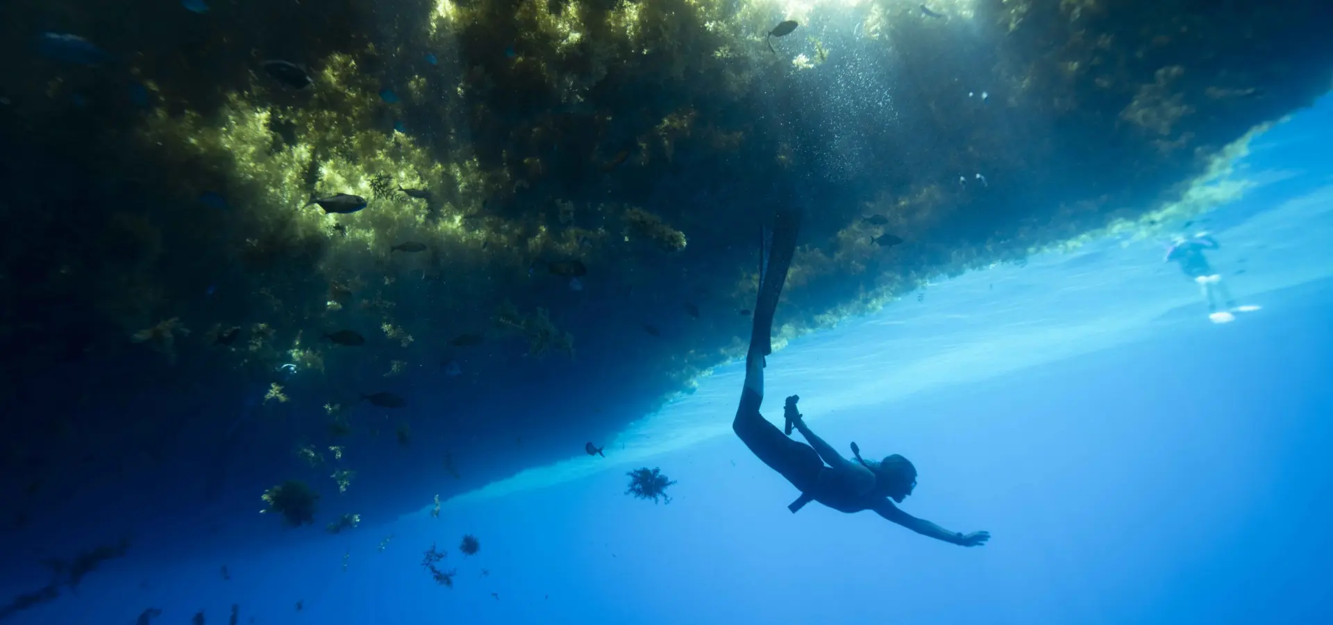 1757422567129dsc05739