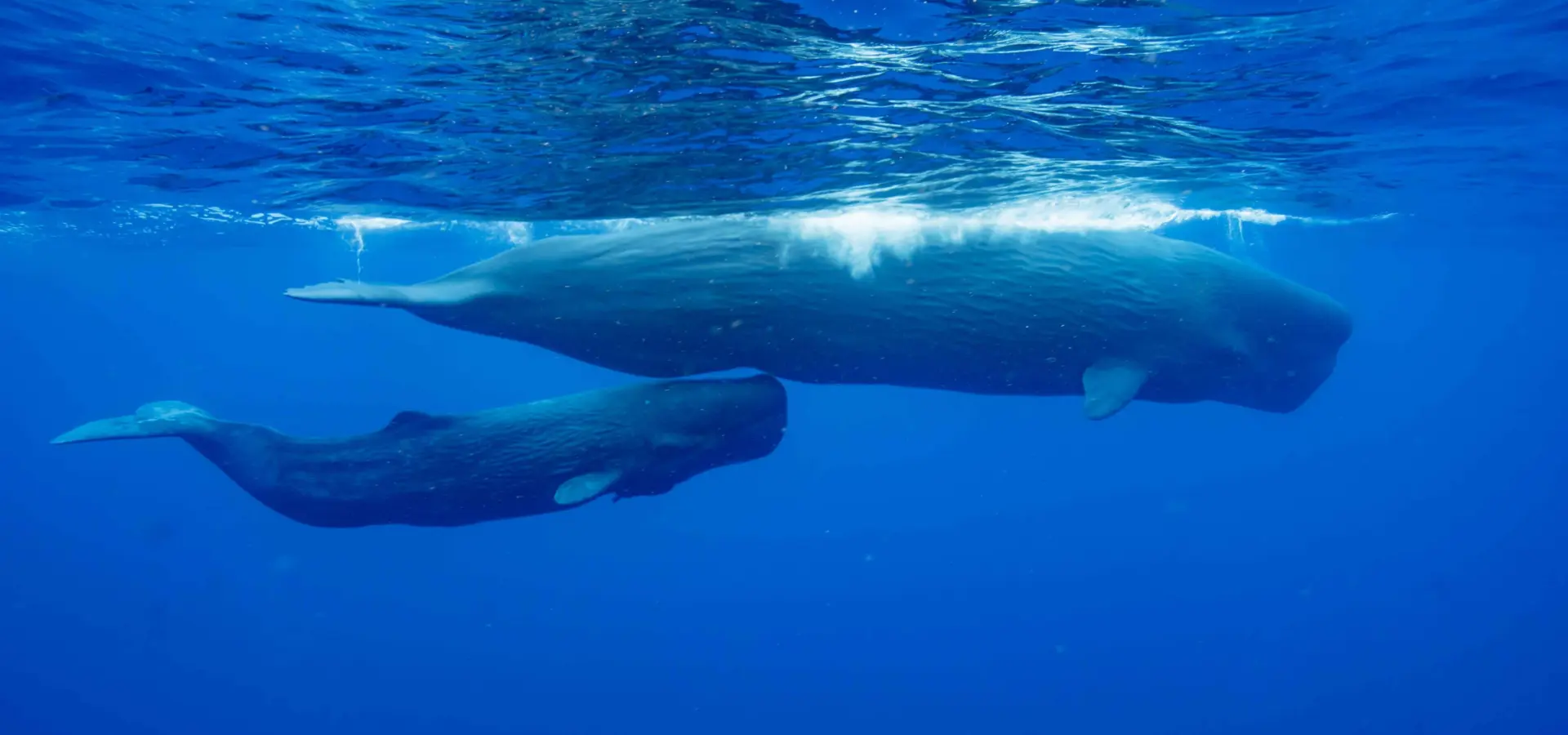 1757422584296dsc05946