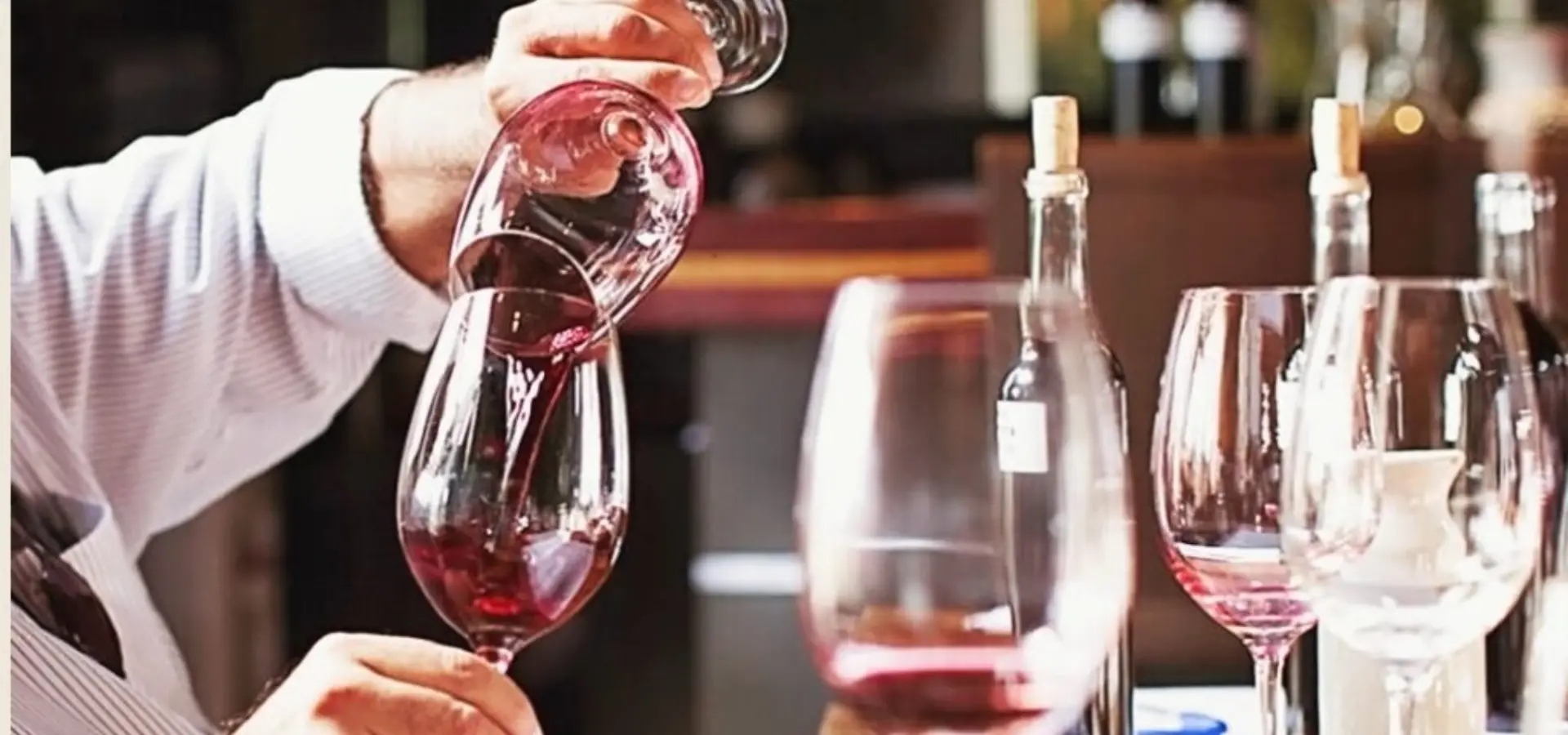 1741879659494 Vinoloog