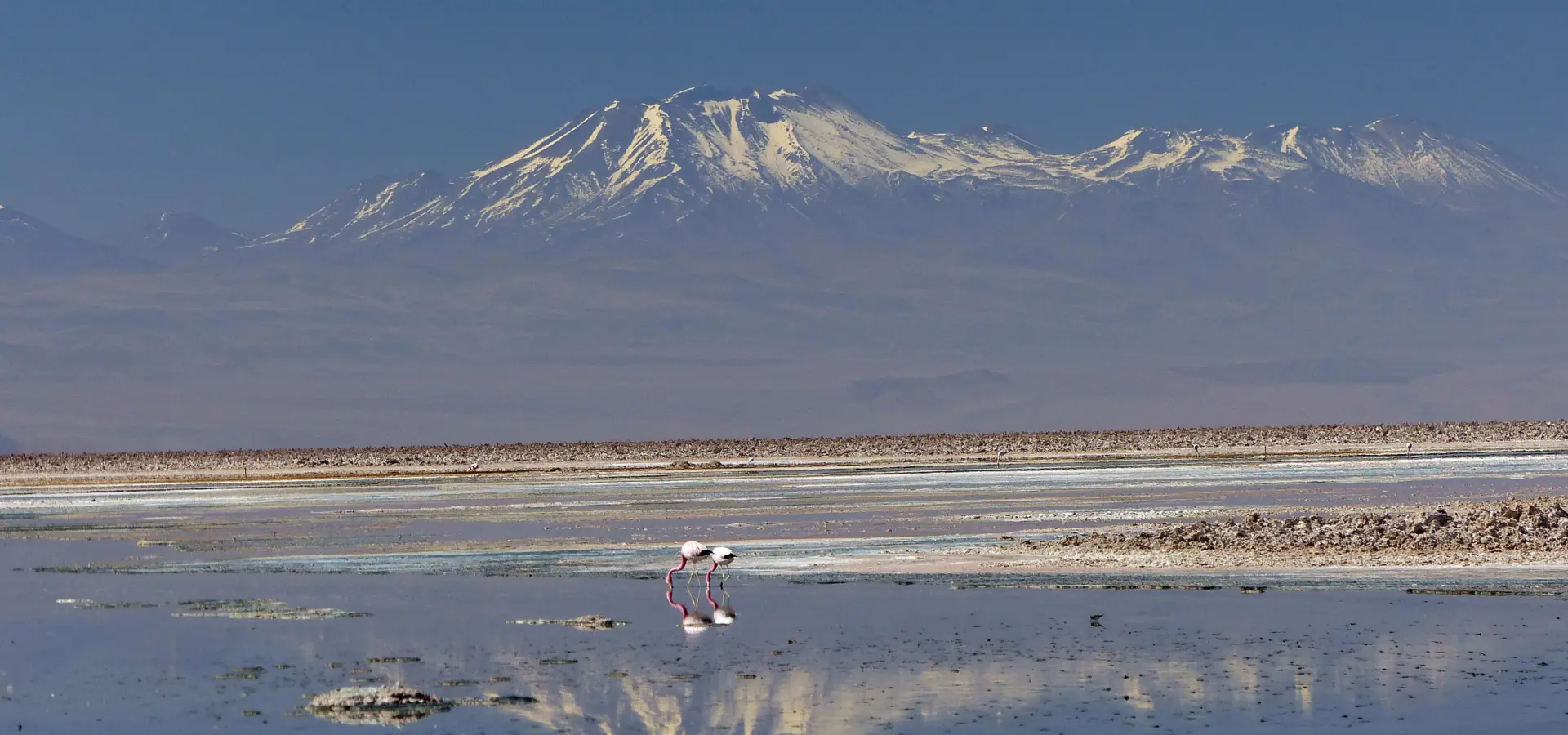 De roo chili salar de atacama