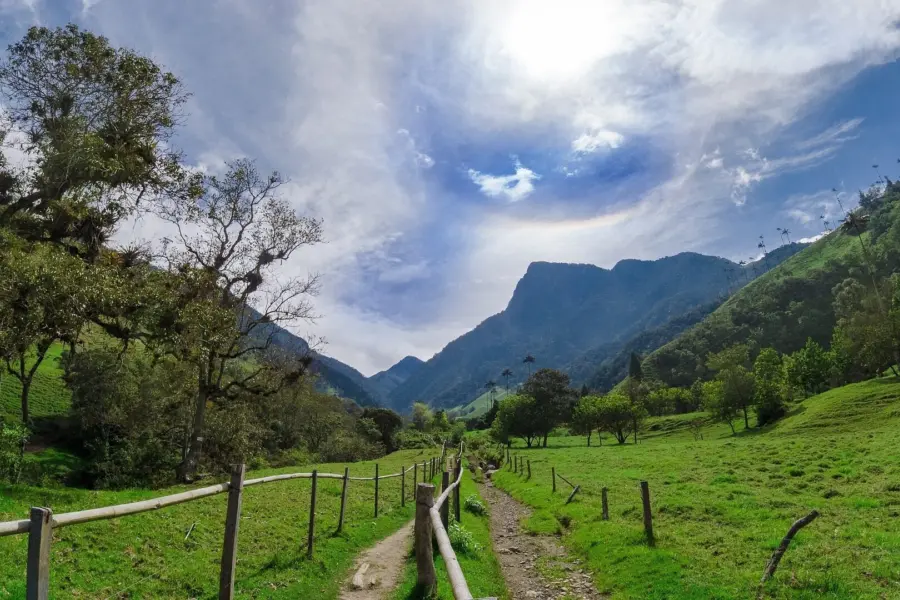 Valle de cocora g81e9836ff 1920