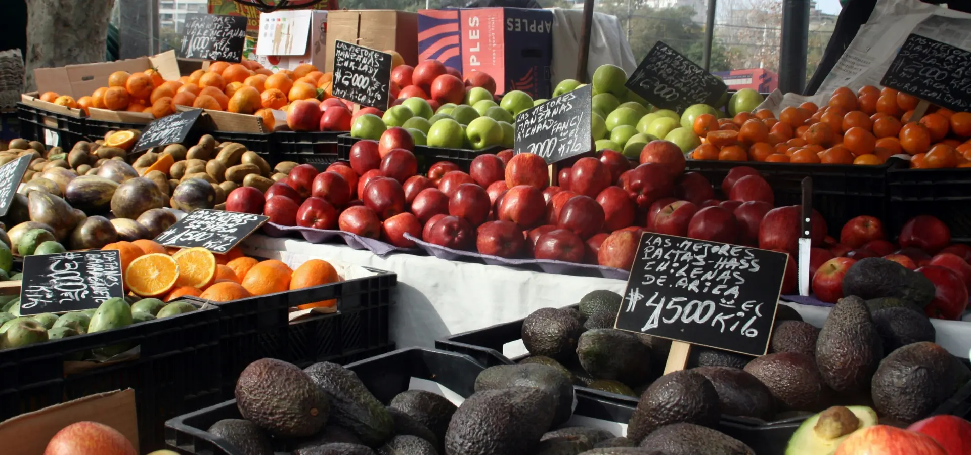 1756719391288rebecca hausner 9 zh6wxgk8 unsplash