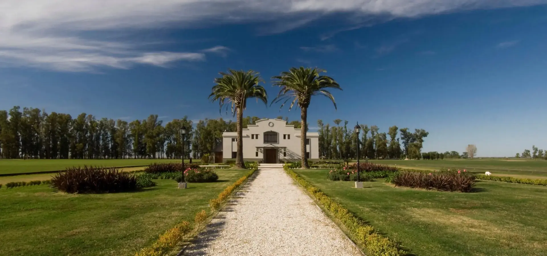 1736359026370 hero home bg video desktop scaled