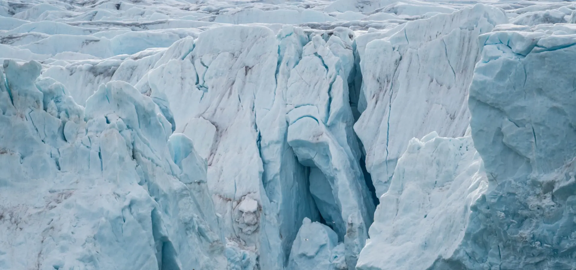 1765376505240no 2049ly280625monacobreentexasbar studioponantyanislasbats