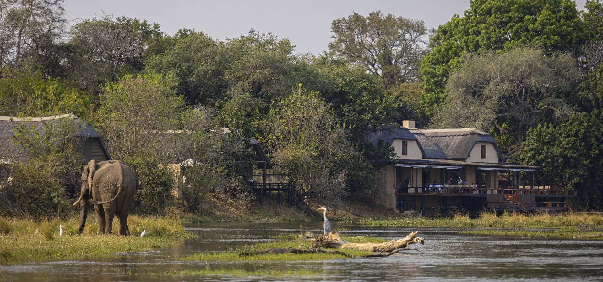 Royal zambezi 2022 104 1