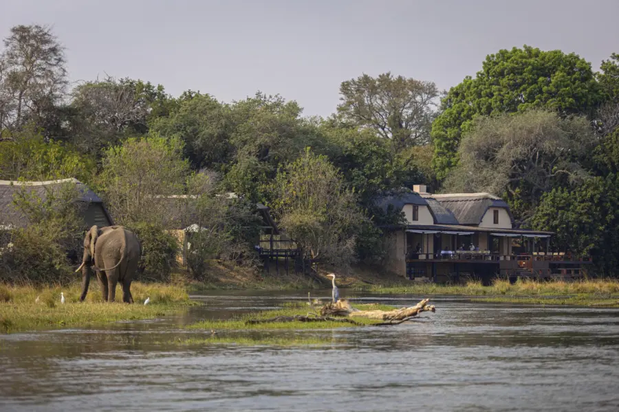 Royal zambezi 2022 104 1