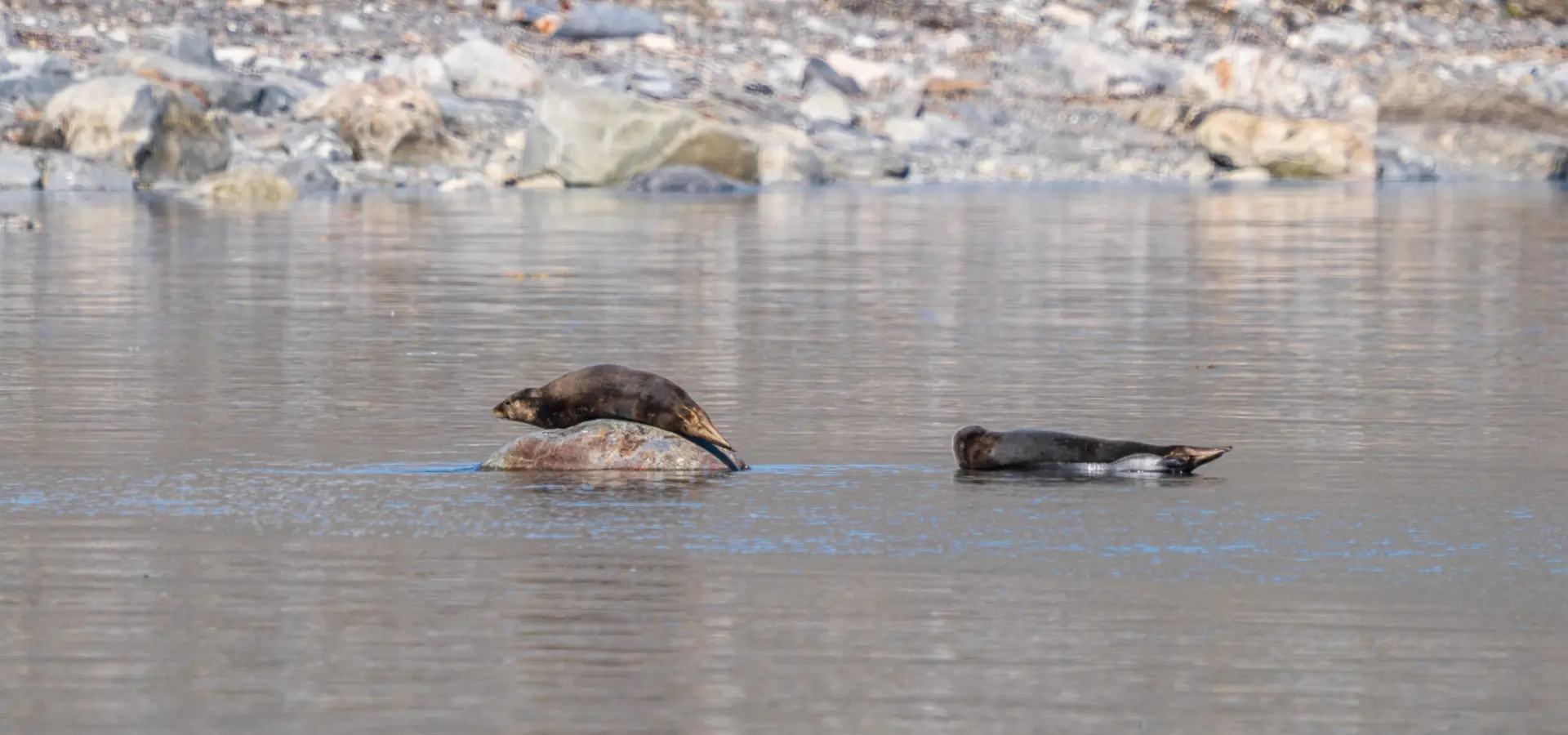 1765372196191no 2008ly280625lloyd hoteljulibuktabreen studioponantyanislasbats