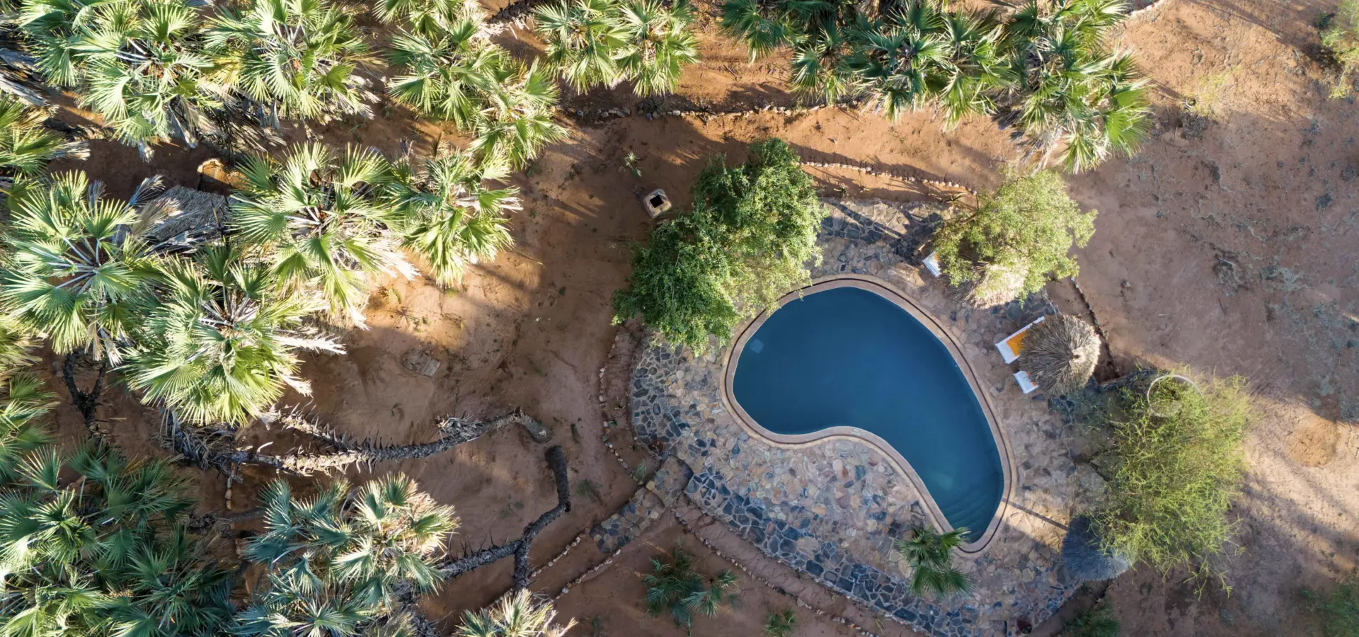 1741156232498 2023 SBC Saruni Rhino AHP 5