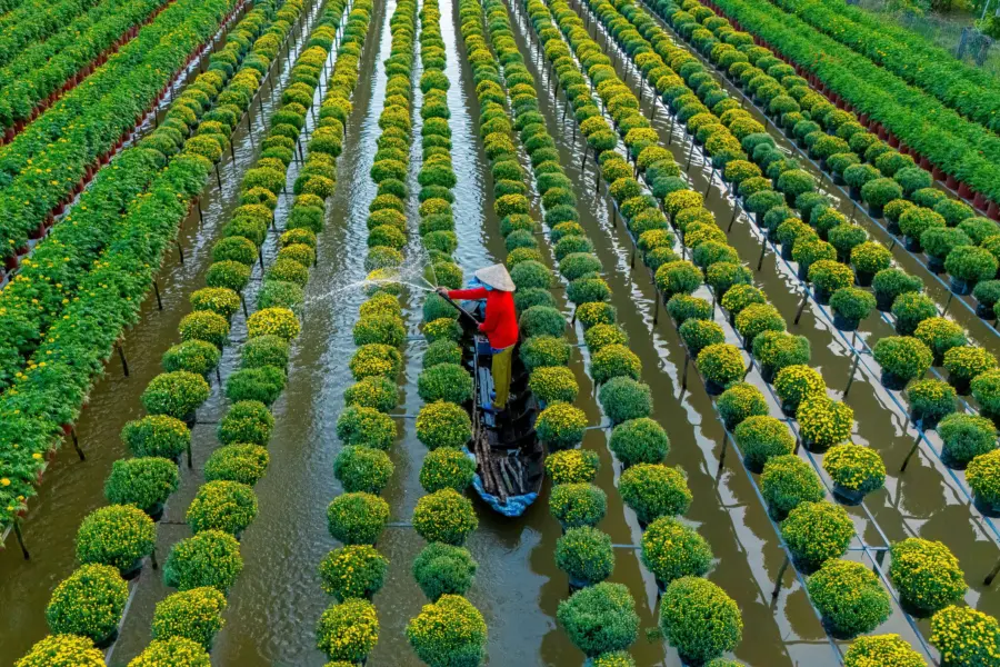 1774352448468excursions sa dec 001