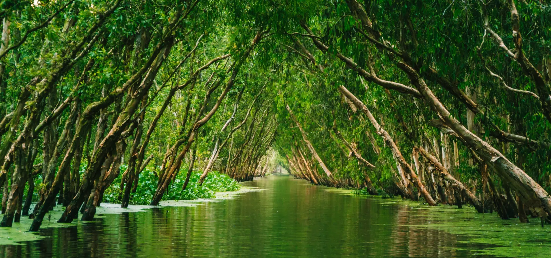 1774352766902digital sennin qttahhghzw unsplash