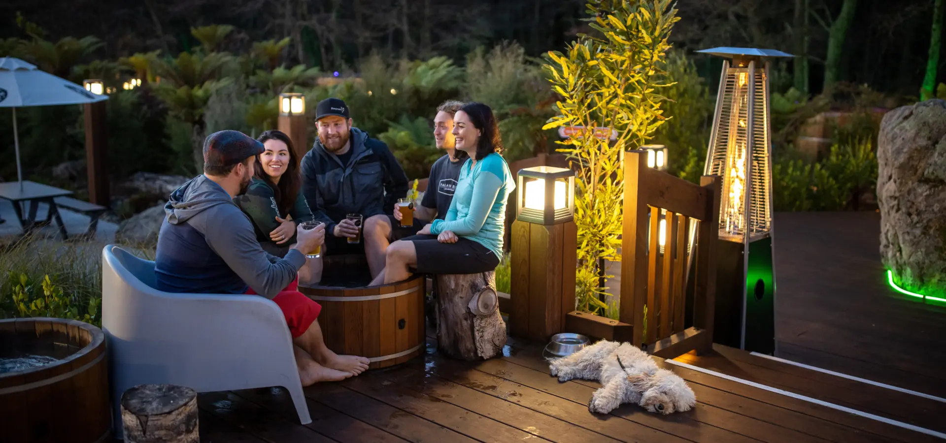 Dog shinny high res 15mb