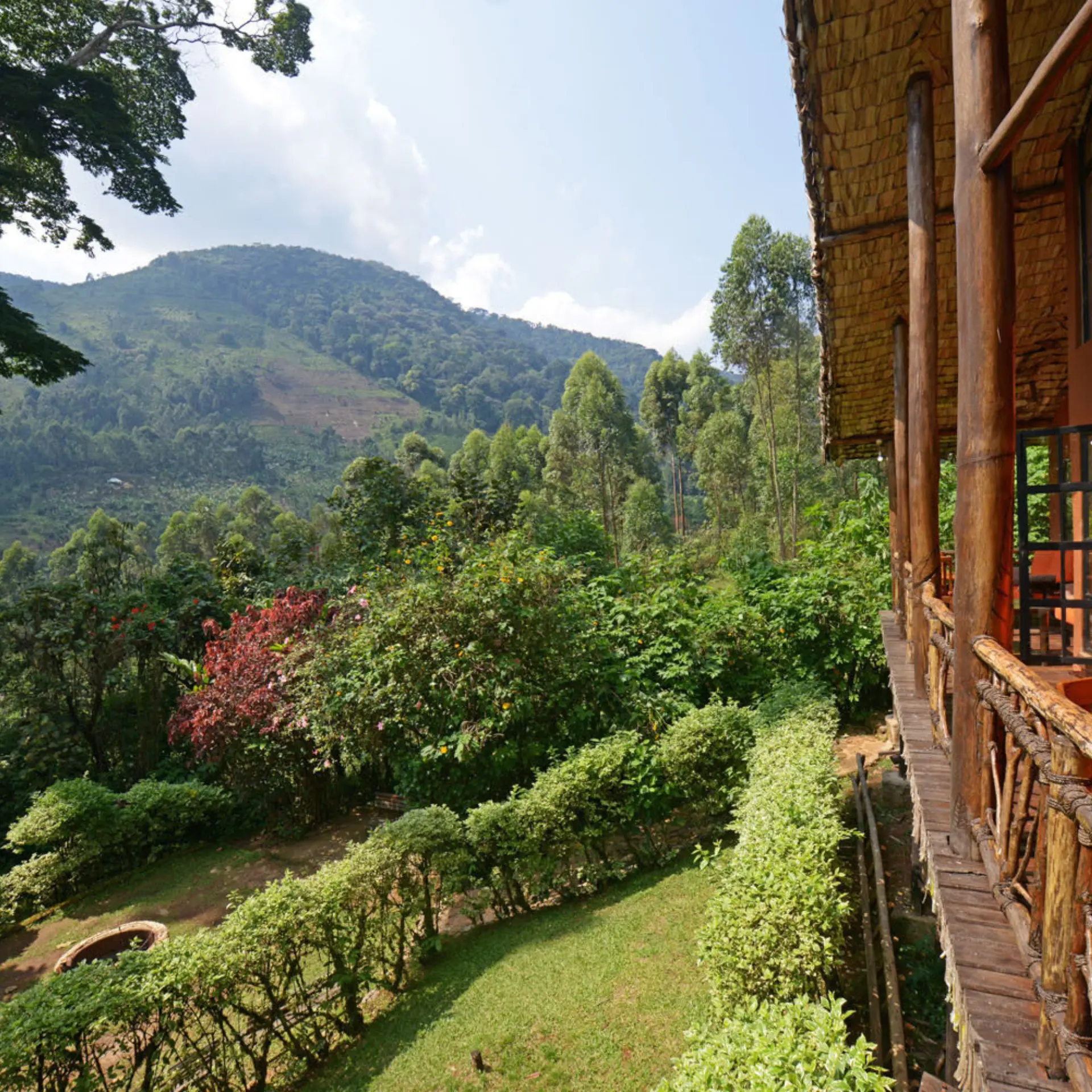 Terrace views