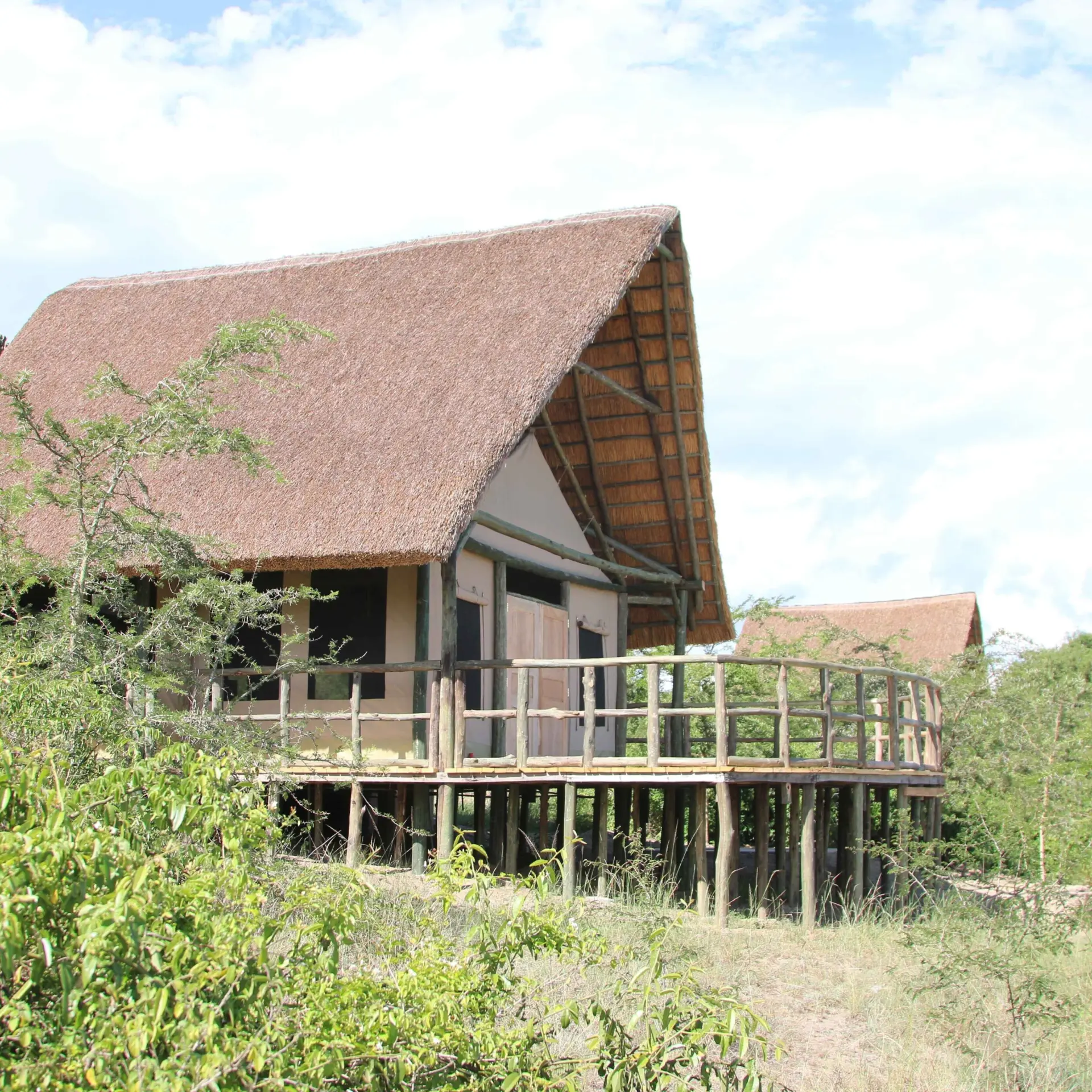 Hut bush