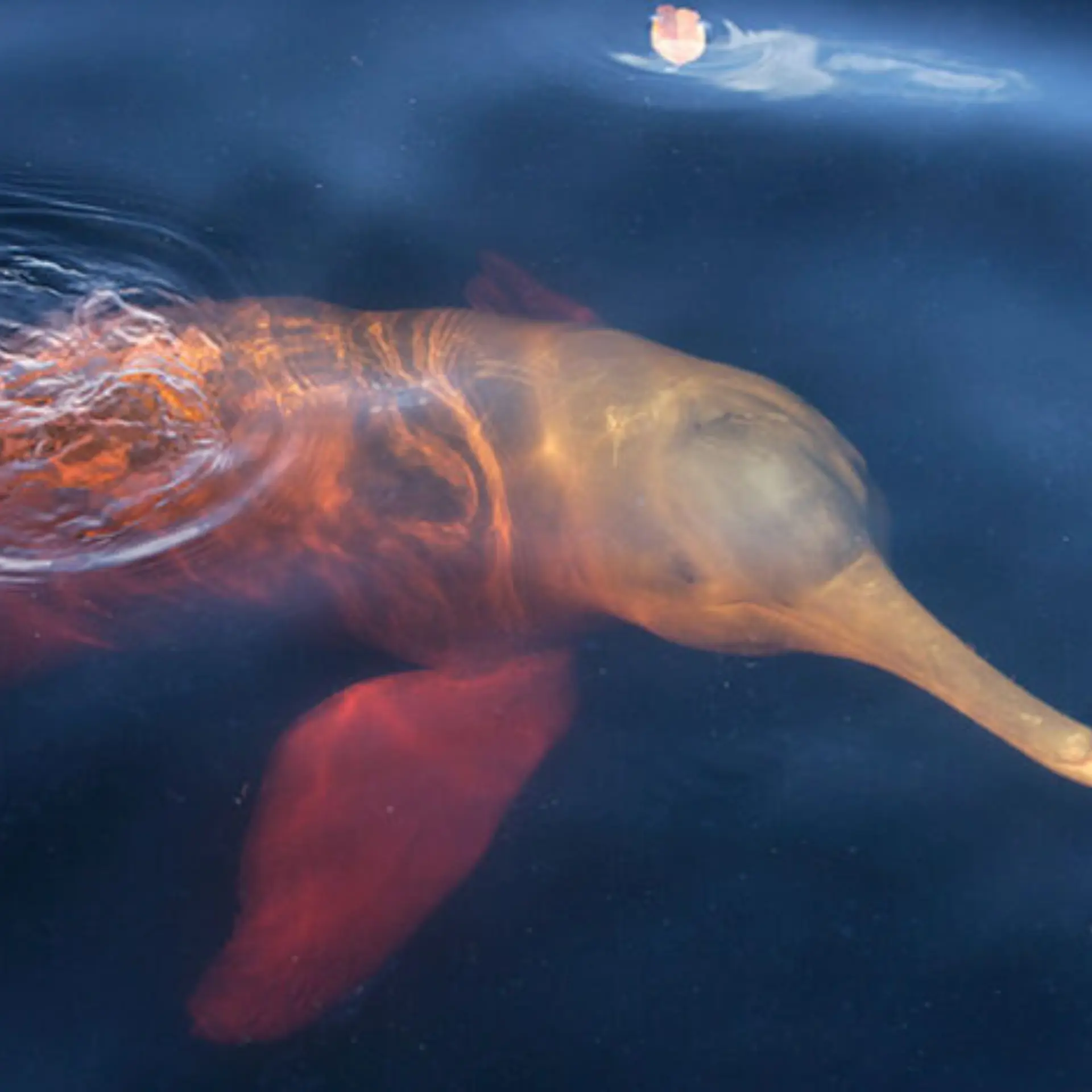 1768997463977itinerary2 700x466