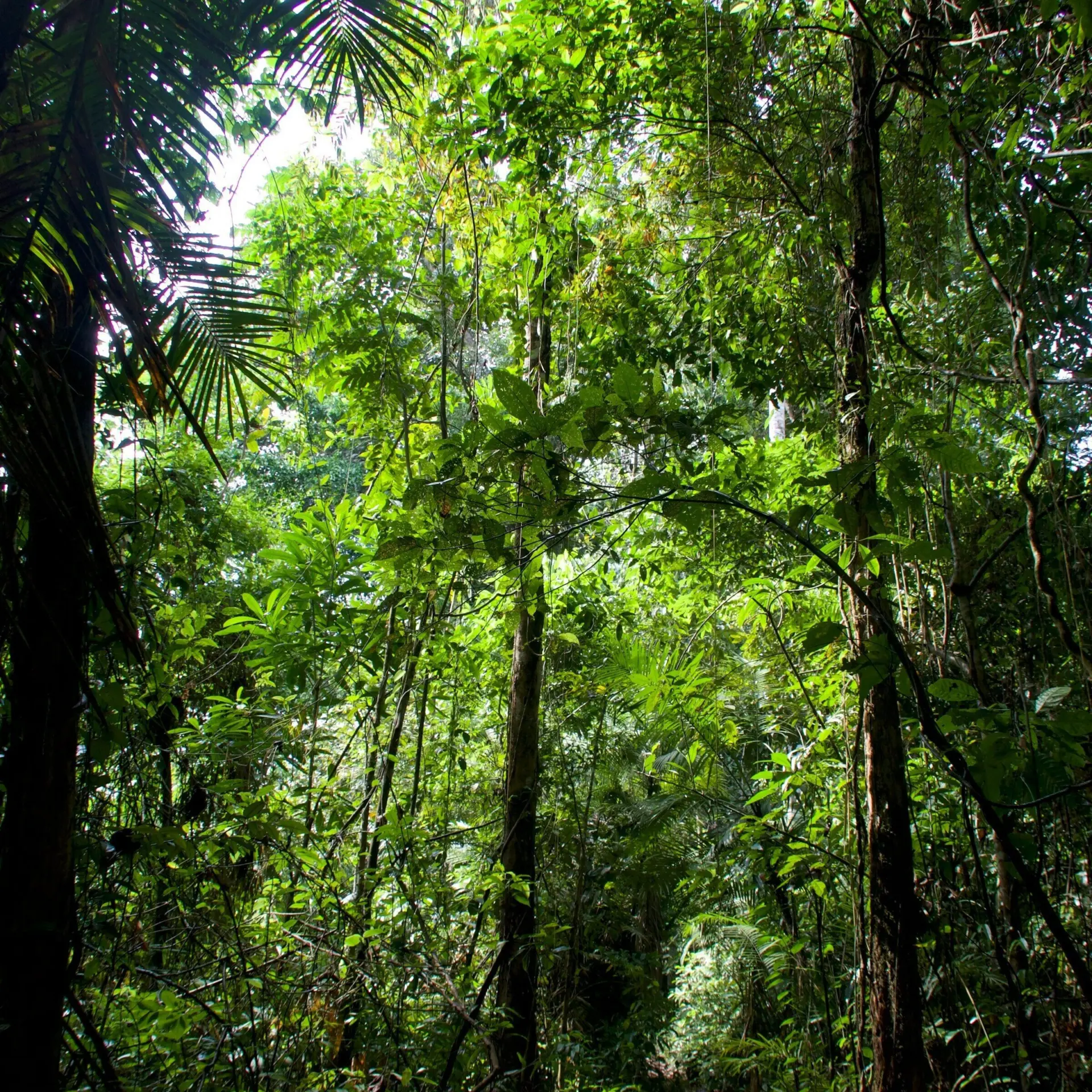 1768999969370madeline hogan utot9tpf k8 unsplash