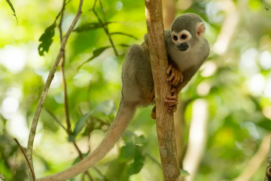 Alain bonnardeaux ceabz2f49x4 unsplash