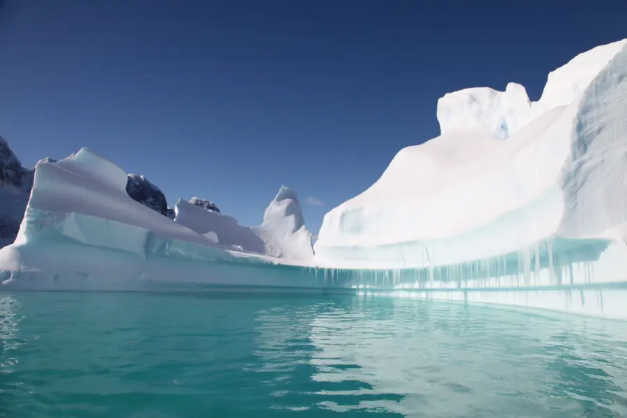 Instawalli antarctica 1621775