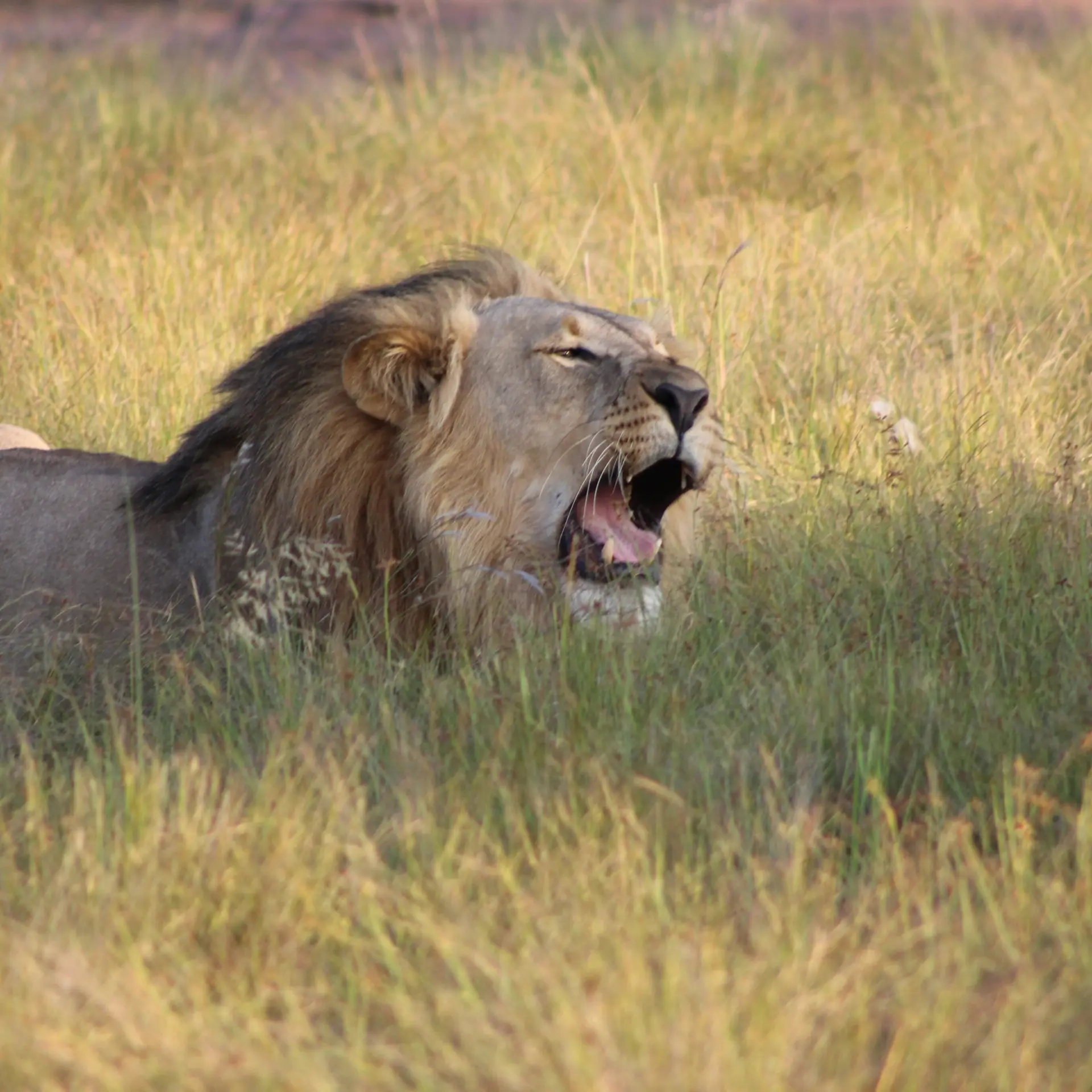 Richard khan cuckbbf1hge unsplash