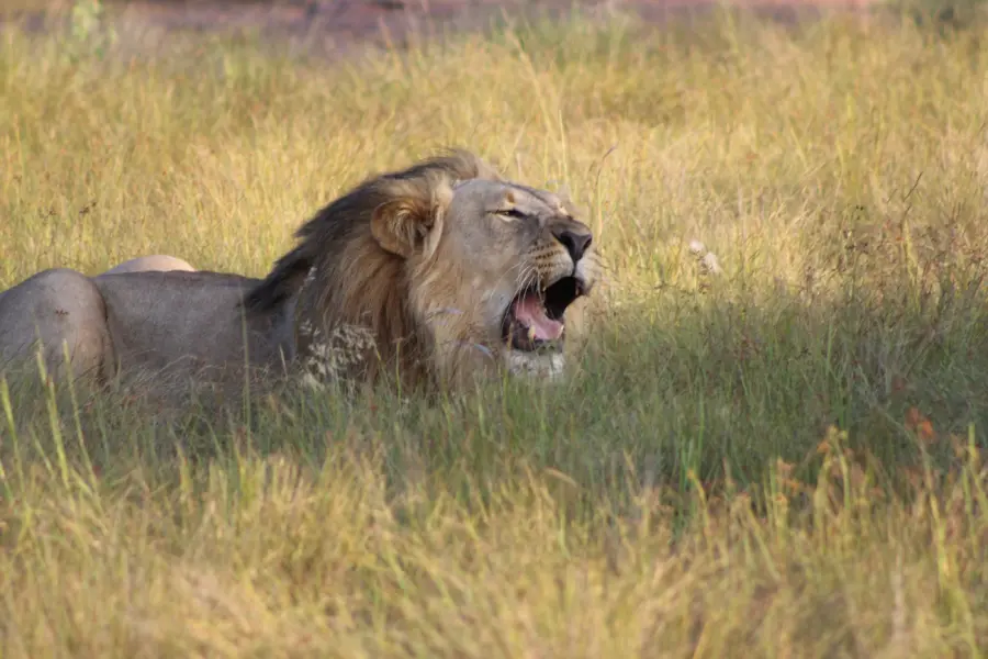 Richard khan cuckbbf1hge unsplash